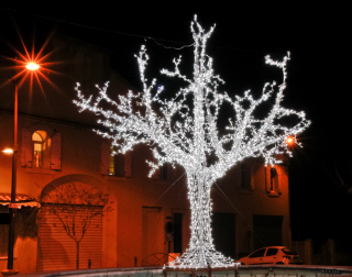 LED 3D strom, studená bílá FLASH (2 500 + 2 500 FLASH LED)